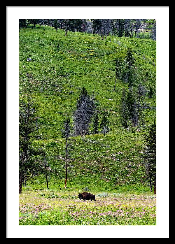 Alone - Framed Print