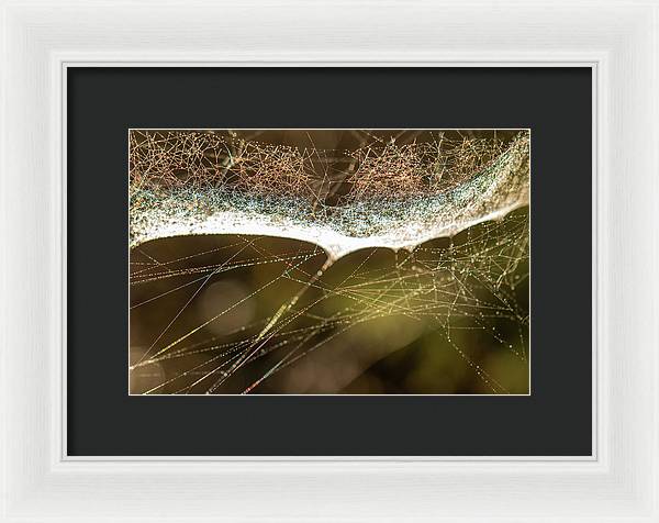 Charlotte's - Framed Print