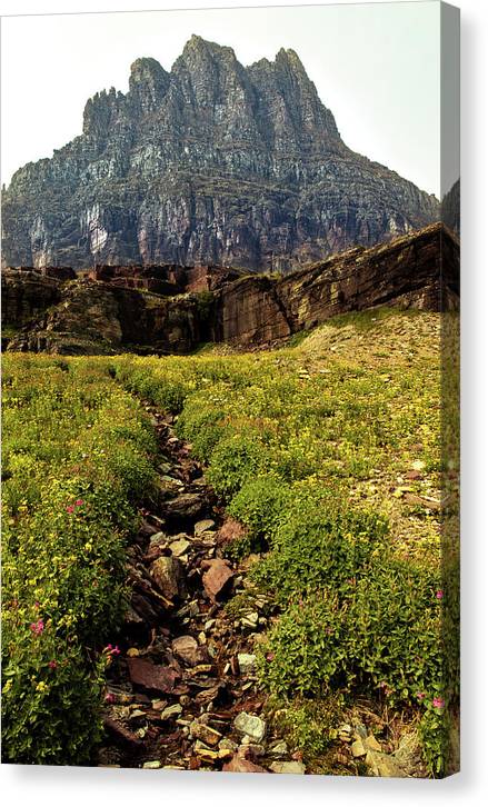 Clements Path - Canvas Print