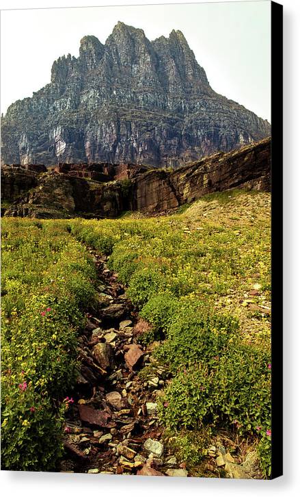 Clements Path - Canvas Print