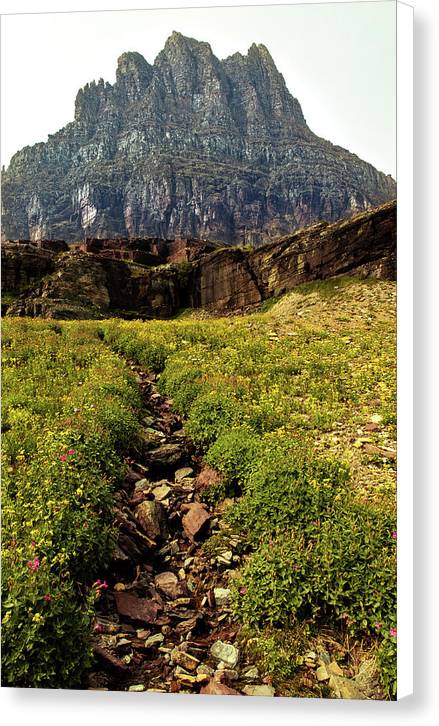 Clements Path - Canvas Print