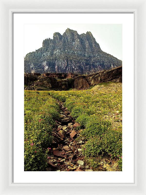 Clements Path - Framed Print