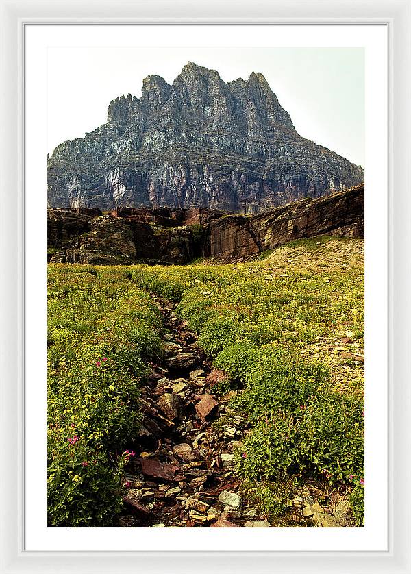 Clements Path - Framed Print