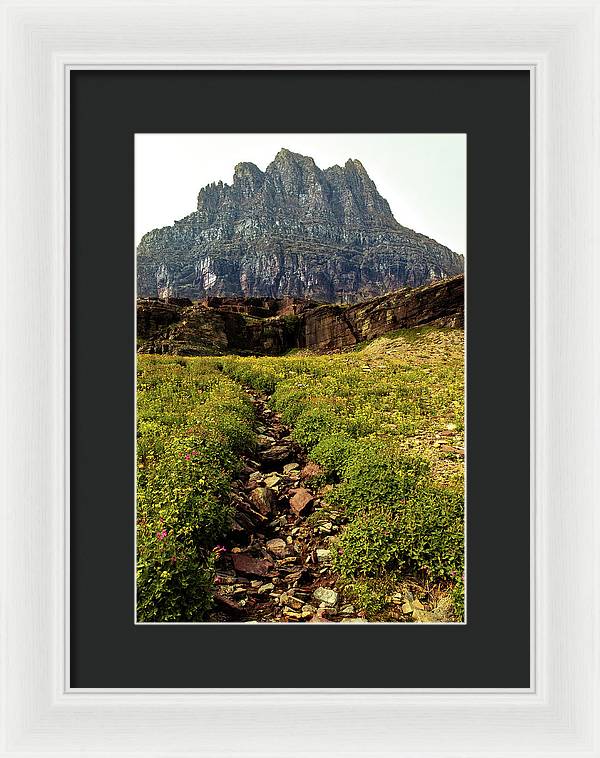 Clements Path - Framed Print