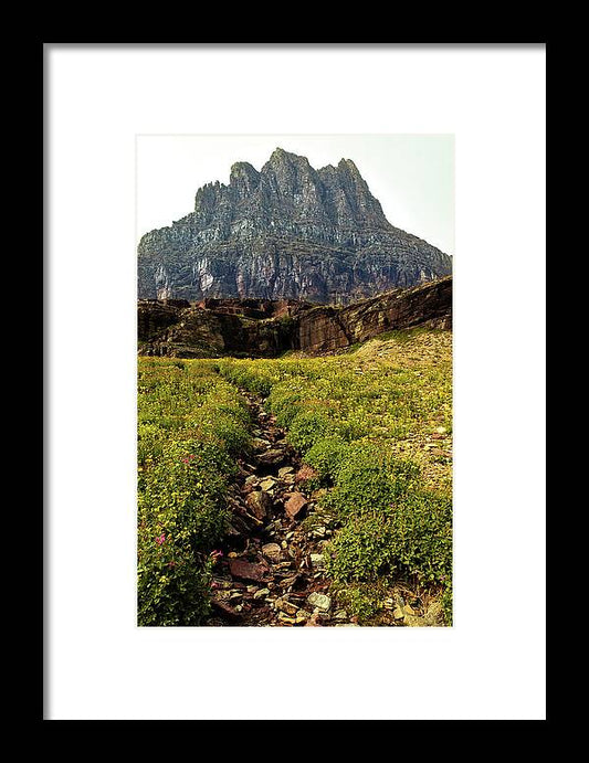 Clements Path - Framed Print