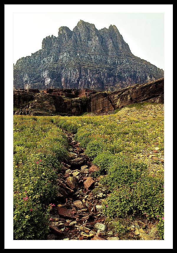 Clements Path - Framed Print