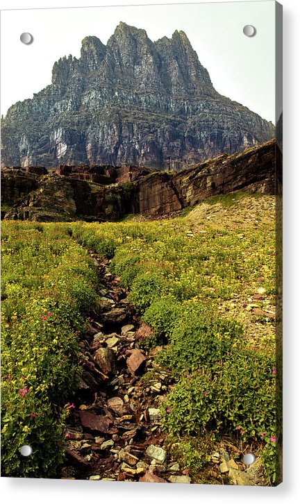 Clements Path - Acrylic Print