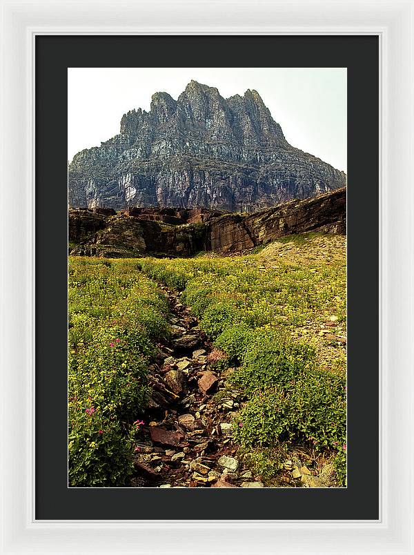 Clements Path - Framed Print