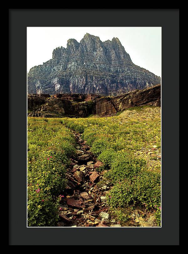 Clements Path - Framed Print