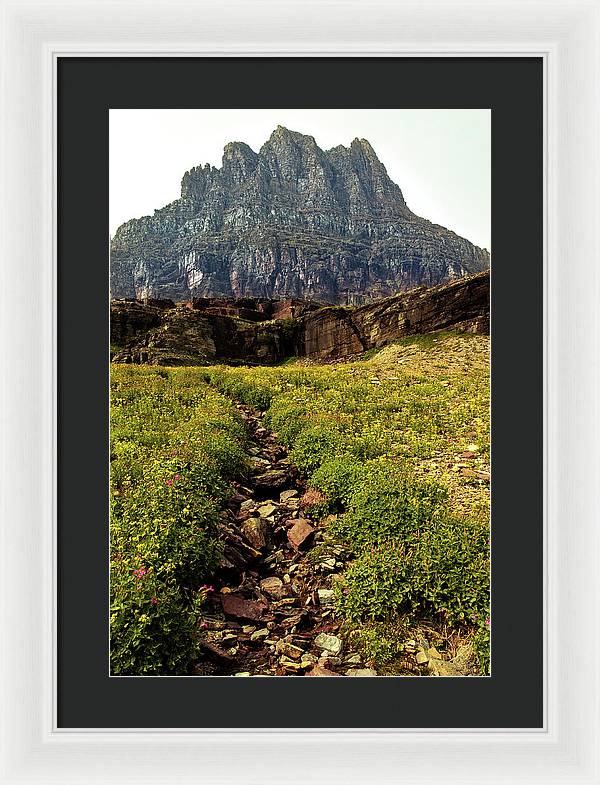 Clements Path - Framed Print