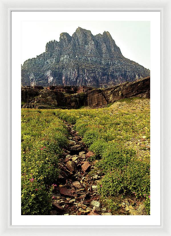 Clements Path - Framed Print