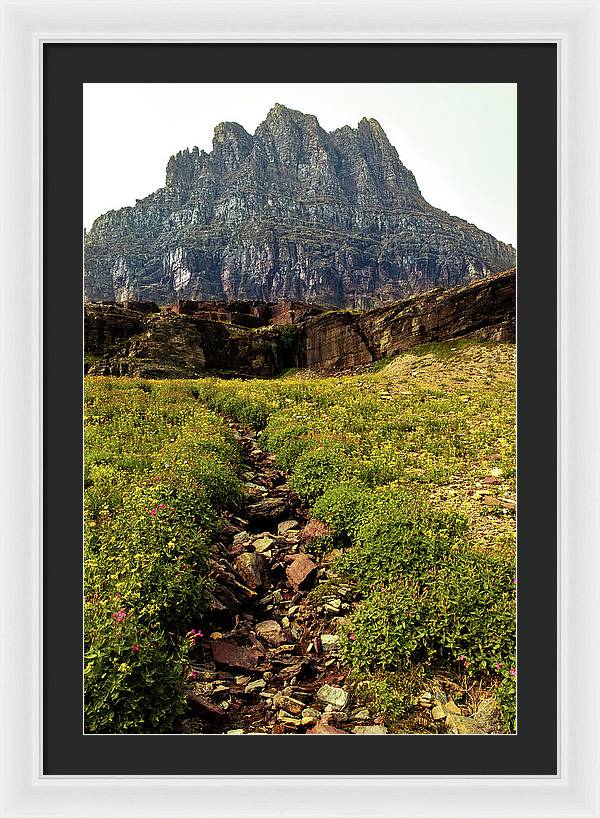 Clements Path - Framed Print