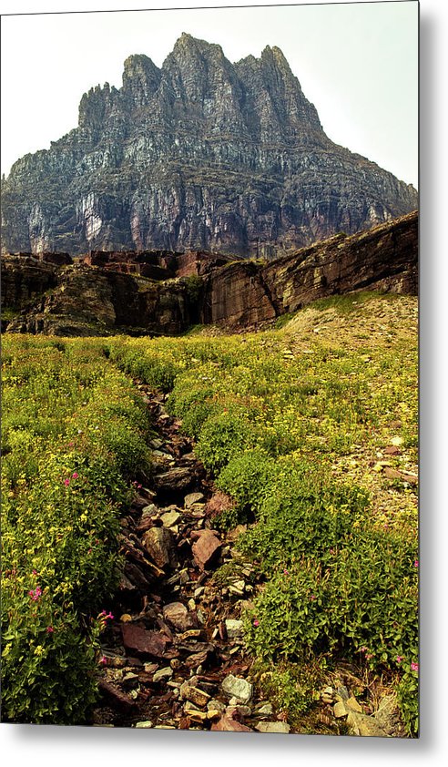 Clements Path - Metal Print