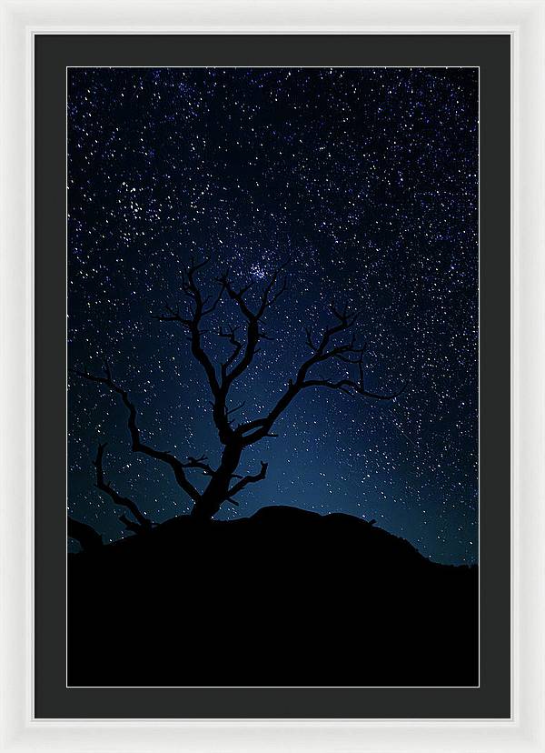 Desert Cluster Tree - Framed Print