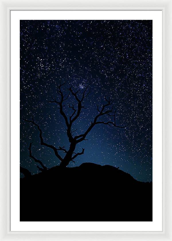 Desert Cluster Tree - Framed Print