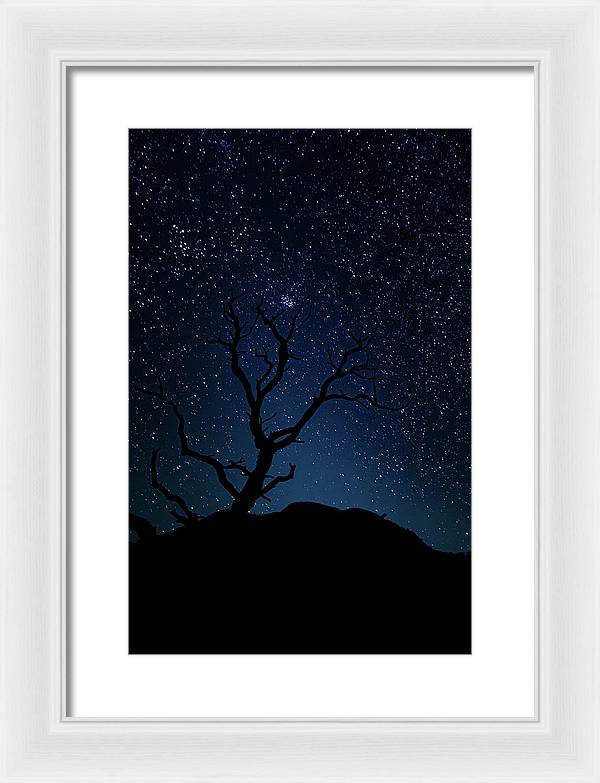 Desert Cluster Tree - Framed Print