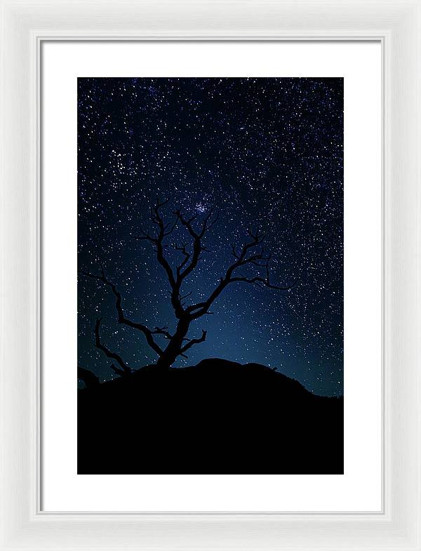 Desert Cluster Tree - Framed Print