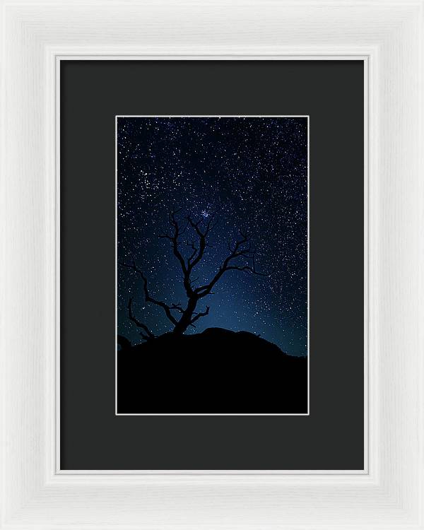 Desert Cluster Tree - Framed Print