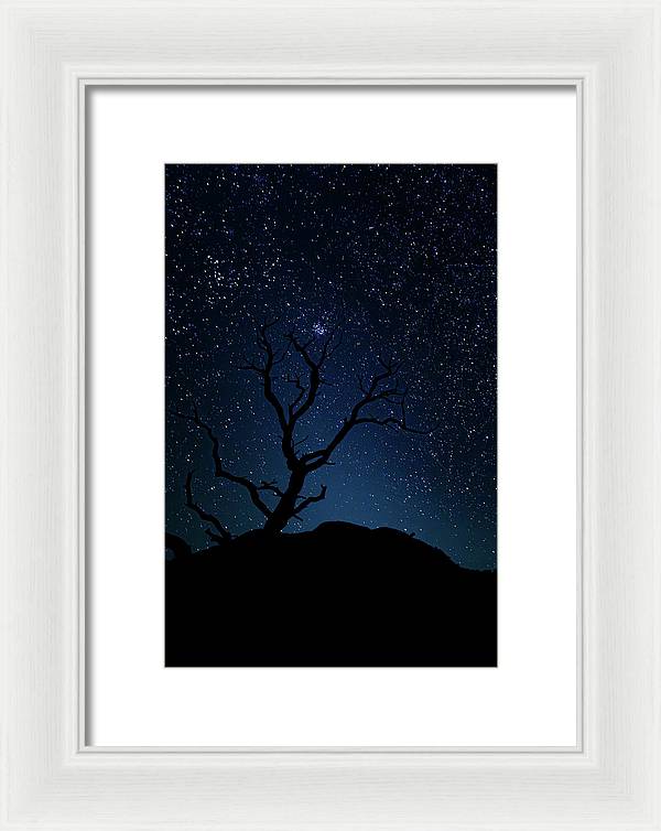 Desert Cluster Tree - Framed Print