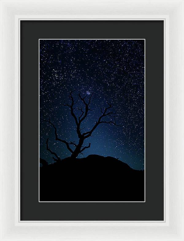 Desert Cluster Tree - Framed Print