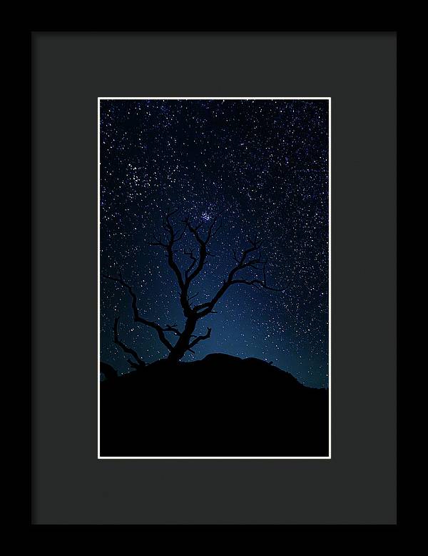 Desert Cluster Tree - Framed Print