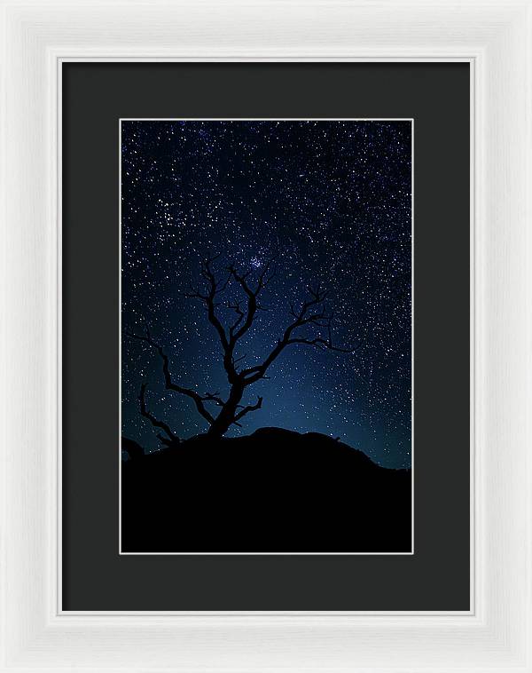 Desert Cluster Tree - Framed Print