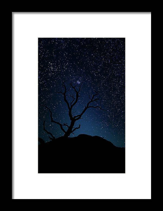 Desert Cluster Tree - Framed Print