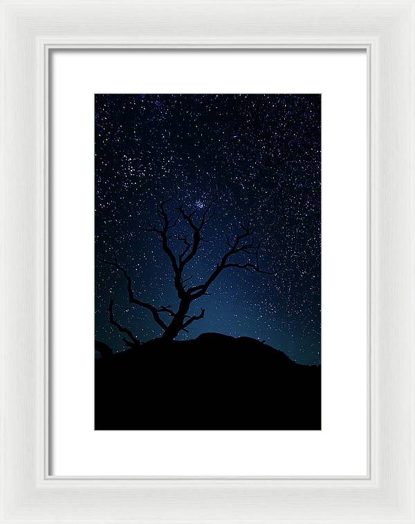 Desert Cluster Tree - Framed Print