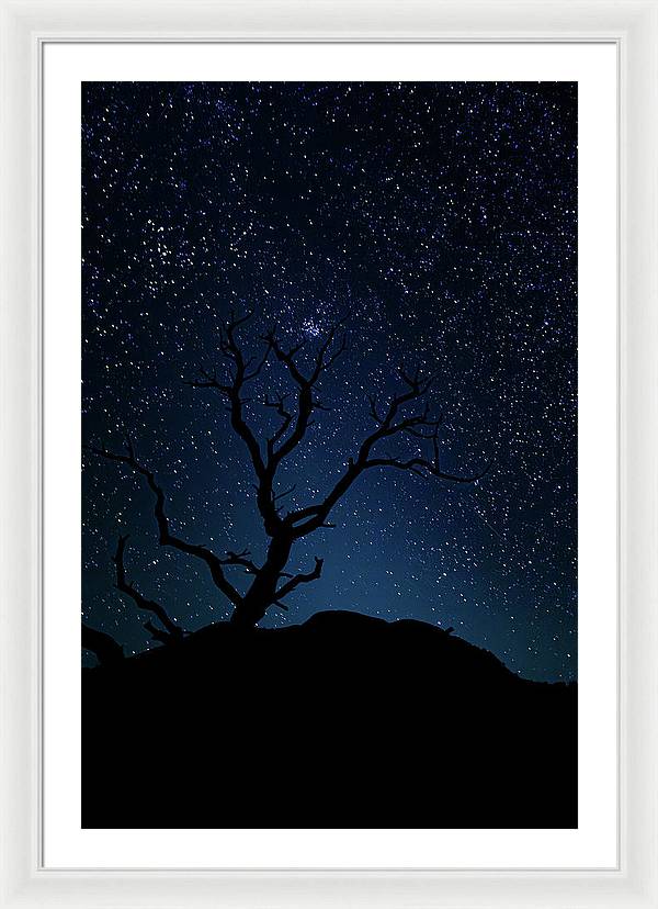 Desert Cluster Tree - Framed Print