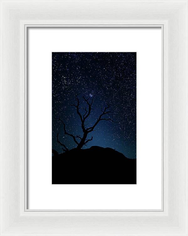 Desert Cluster Tree - Framed Print