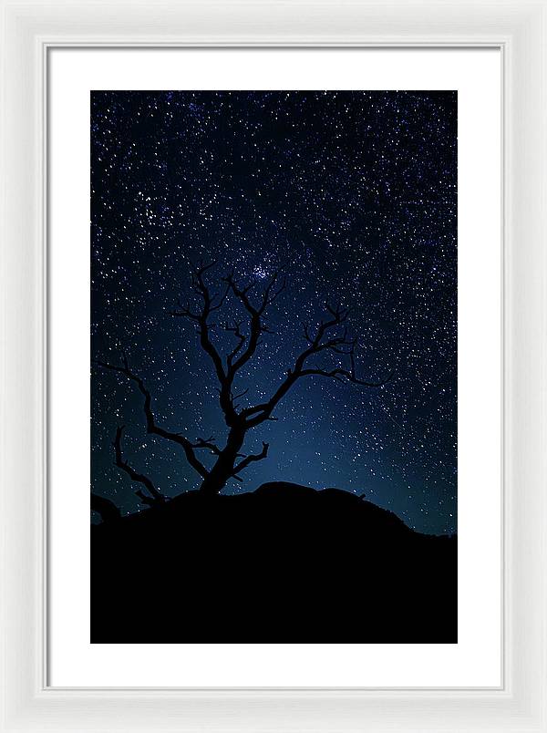 Desert Cluster Tree - Framed Print