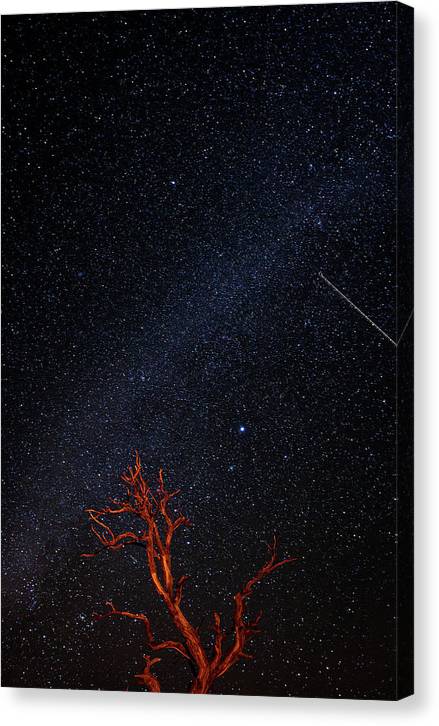 Desert Galaxy - Canvas Print