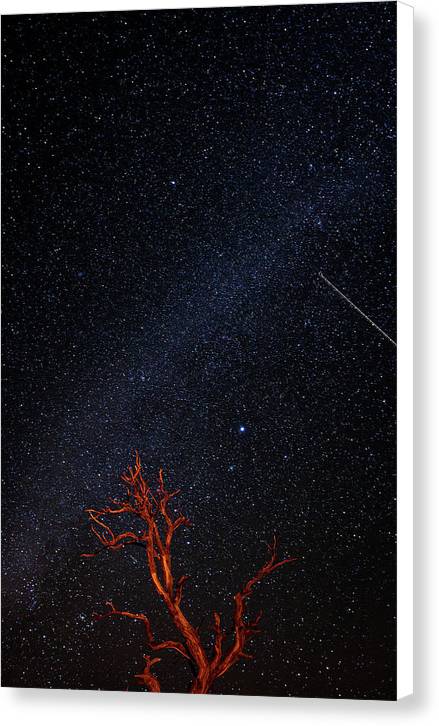 Desert Galaxy - Canvas Print