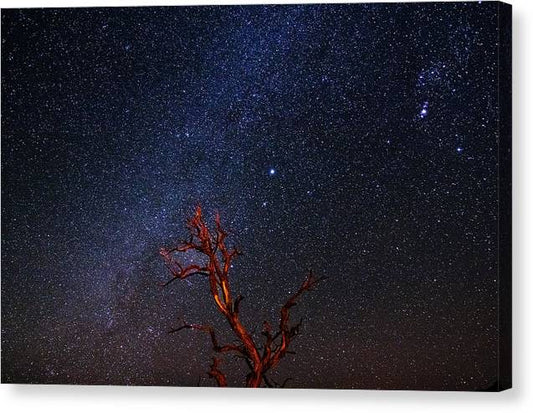 Desert Galaxy Horizontal - Canvas Print