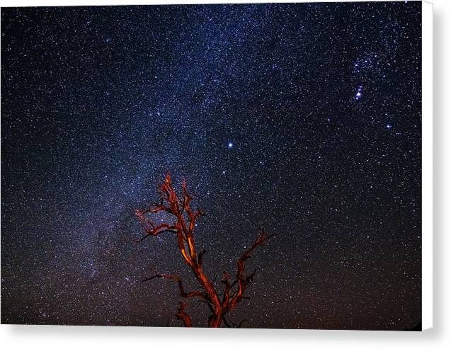 Desert Galaxy Horizontal - Canvas Print