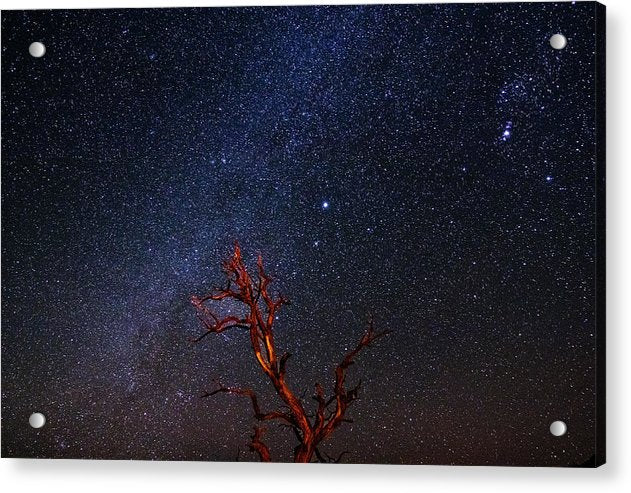 Desert Galaxy Horizontal - Acrylic Print