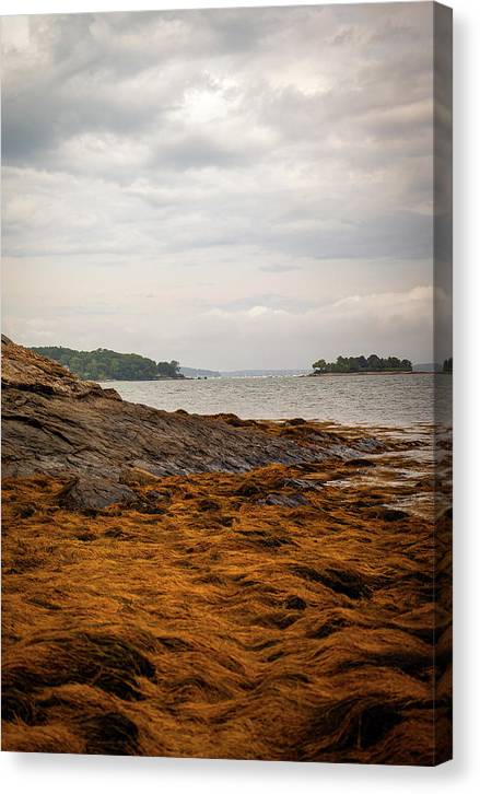 Down By The Sea - Canvas Print