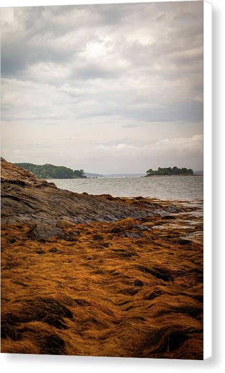 Down By The Sea - Canvas Print