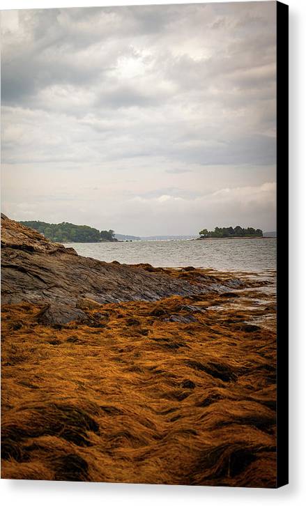 Down By The Sea - Canvas Print