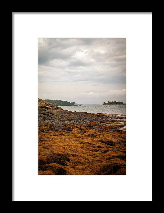 Down By The Sea - Framed Print