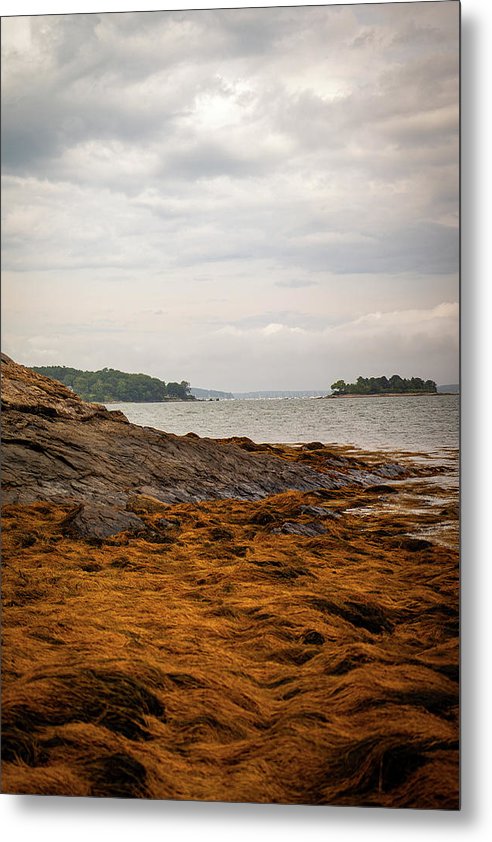 Down By The Sea - Metal Print