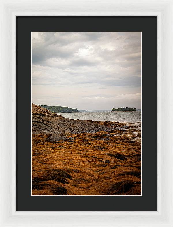 Down By The Sea - Framed Print