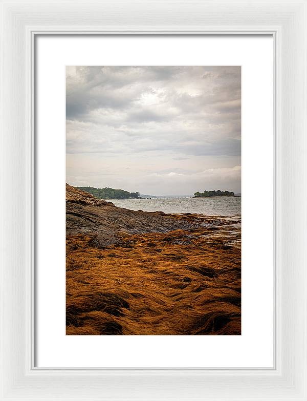 Down By The Sea - Framed Print