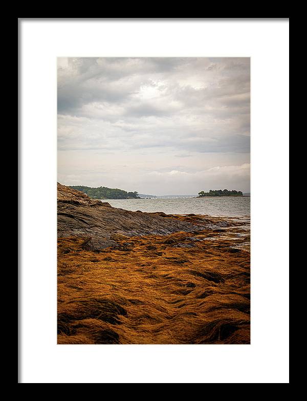 Down By The Sea - Framed Print