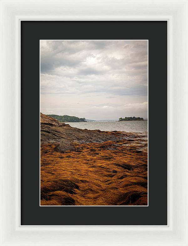 Down By The Sea - Framed Print