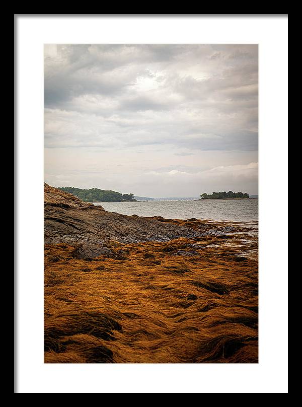 Down By The Sea - Framed Print