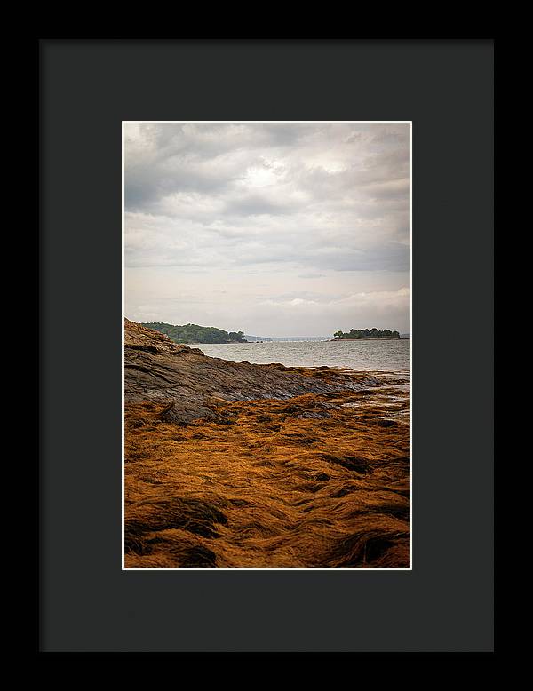 Down By The Sea - Framed Print