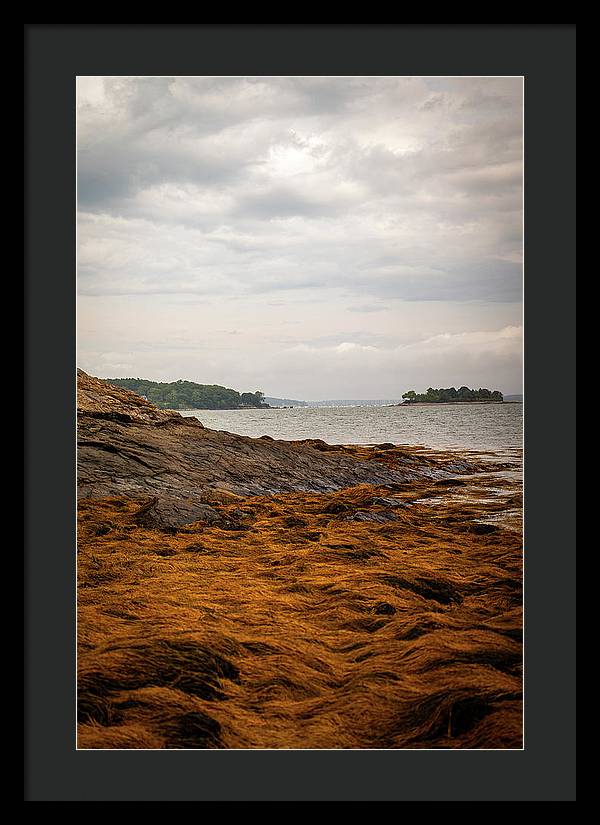 Down By The Sea - Framed Print