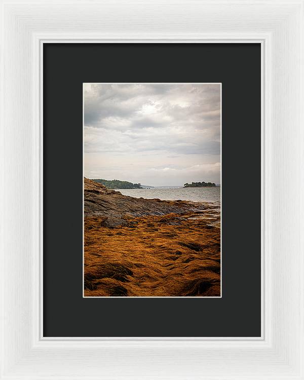 Down By The Sea - Framed Print