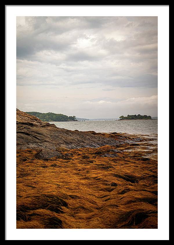 Down By The Sea - Framed Print